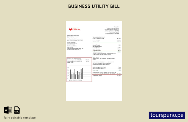 listo para imprimir Chequia Veolia Energy Plantilla de factura de servicios públ